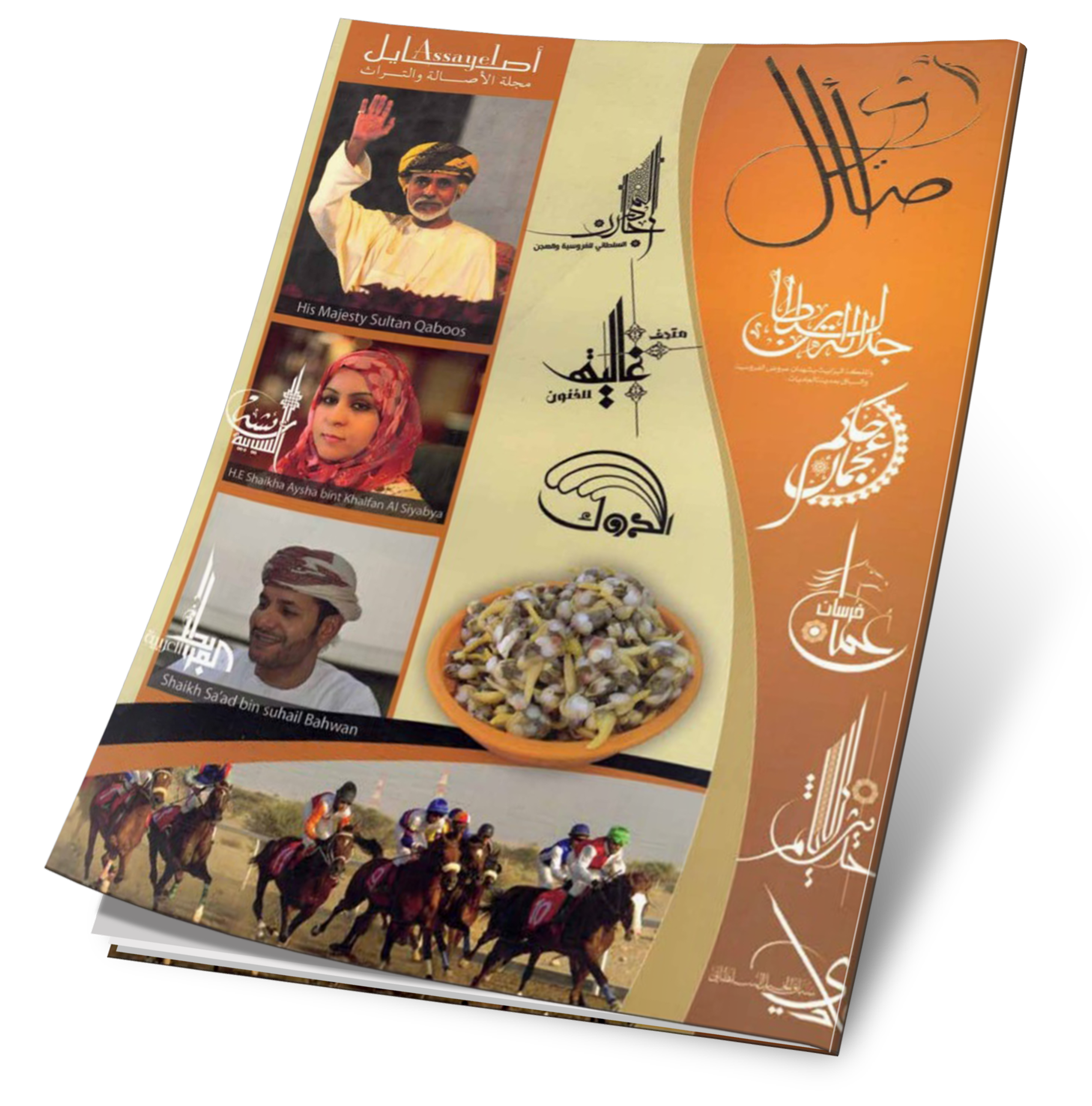 غلاف العدد 20