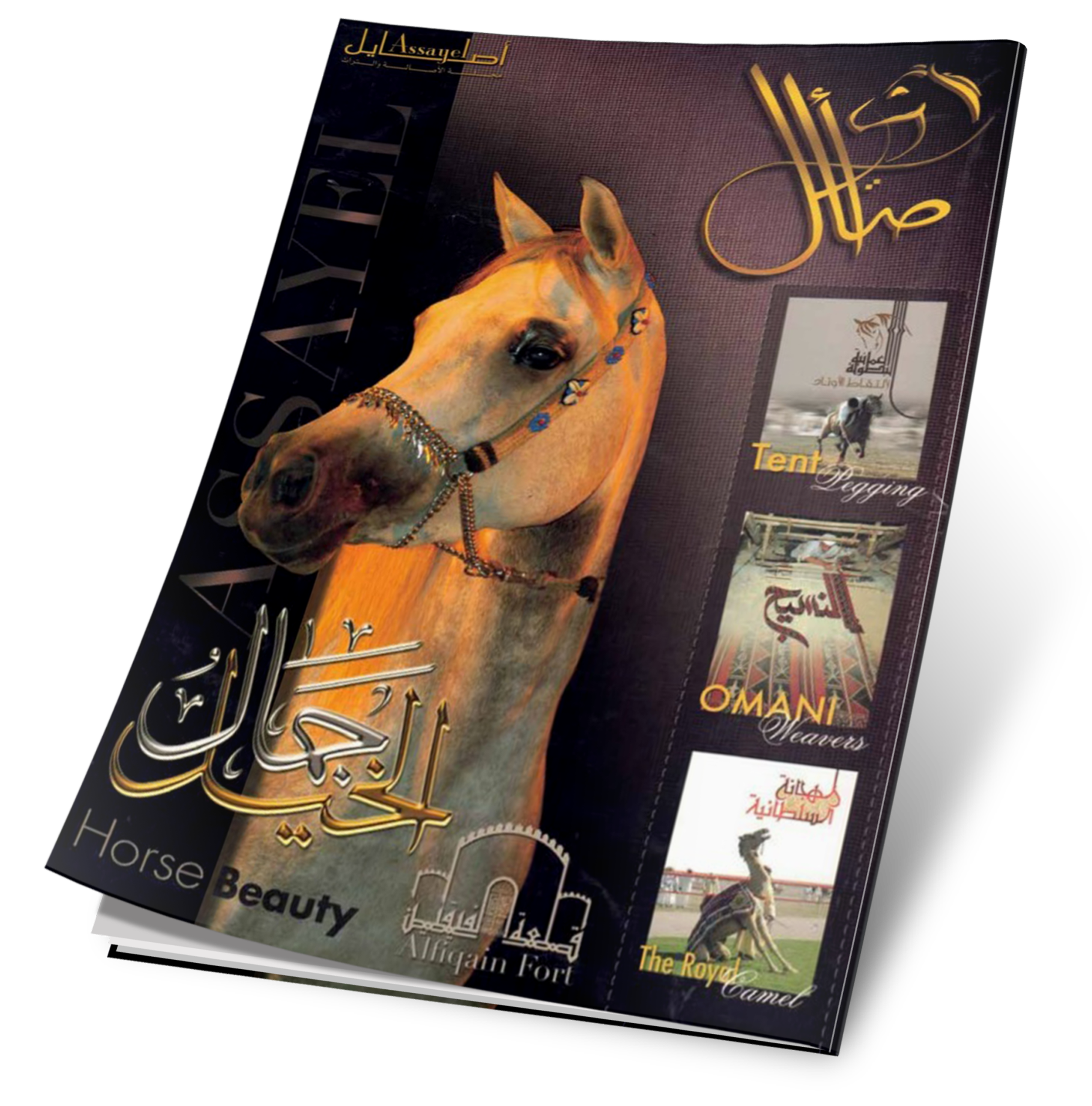 غلاف العدد 06