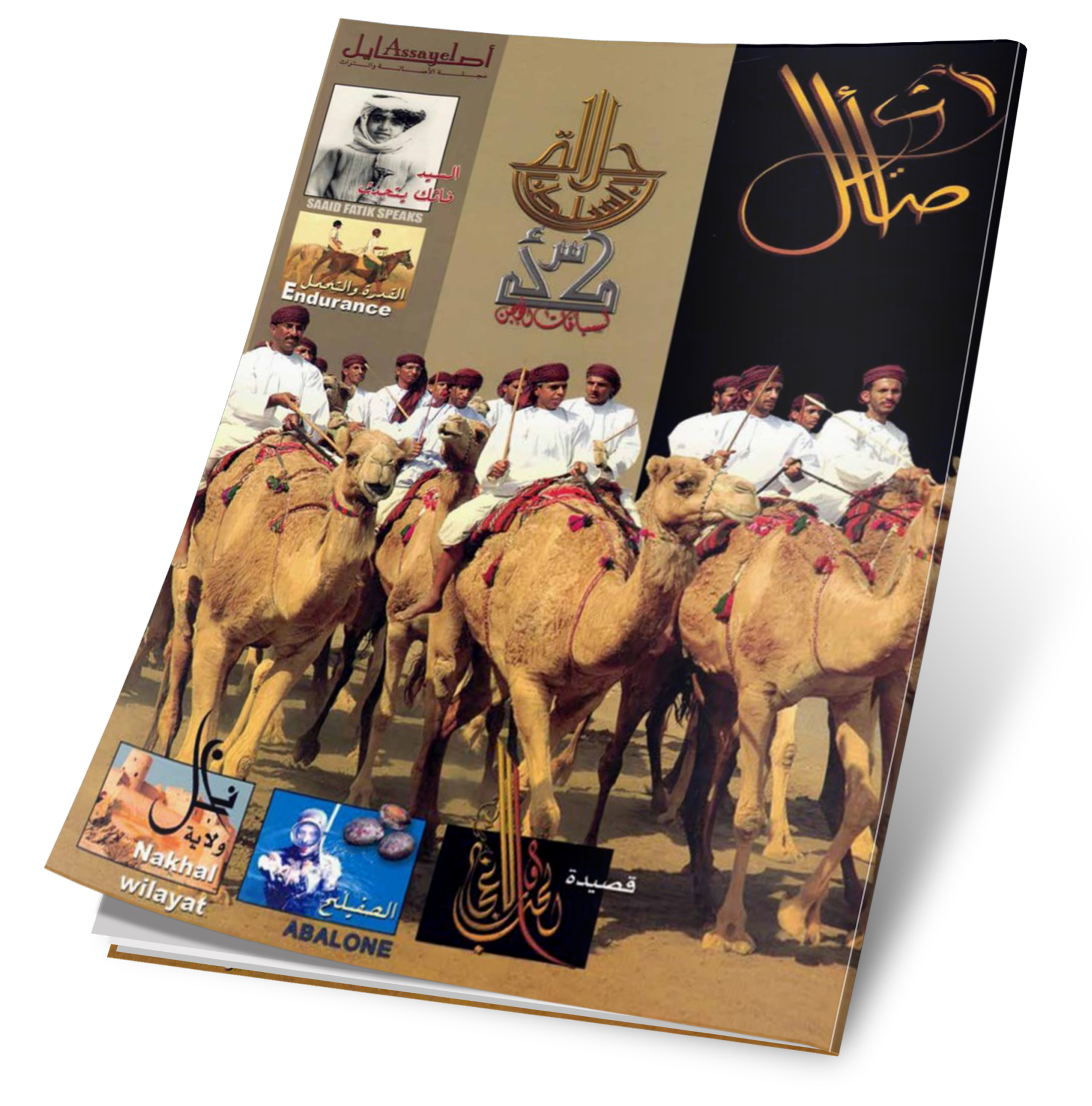 غلاف العدد 3