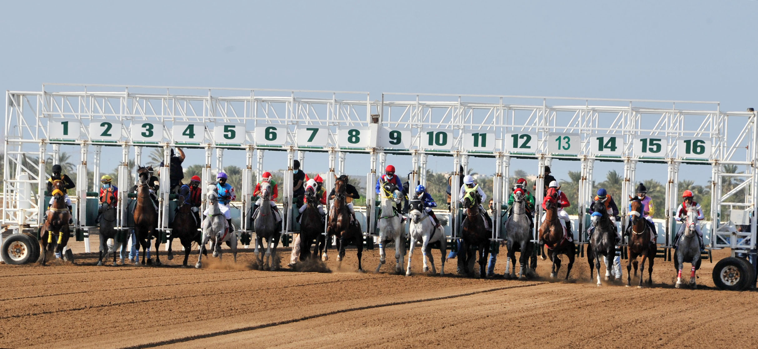 السباق الثالث لنادي سباق الخيل السلطاني بميدان الرحبة ببركاء