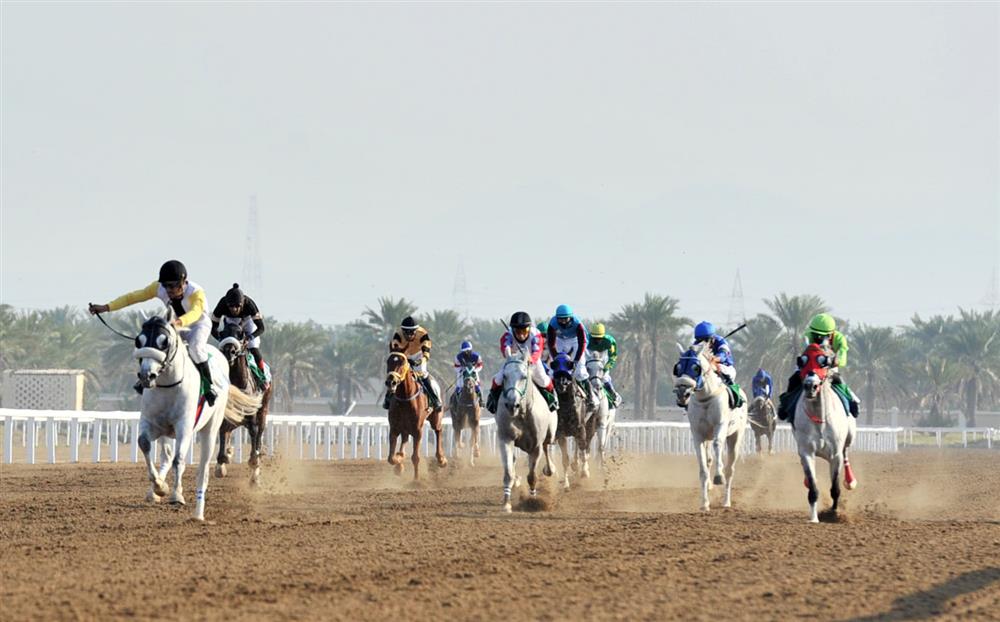 السباق السادس لنادي سباق الخيل السلطاني بولاية بركاء