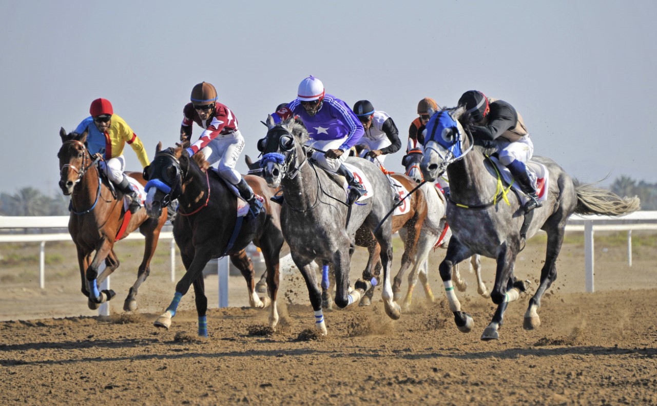 نادي سباق الخيل السلطاني يكمل كافة تحضيراته لانطلاق موسم سباقات الخيل السبت المقبل