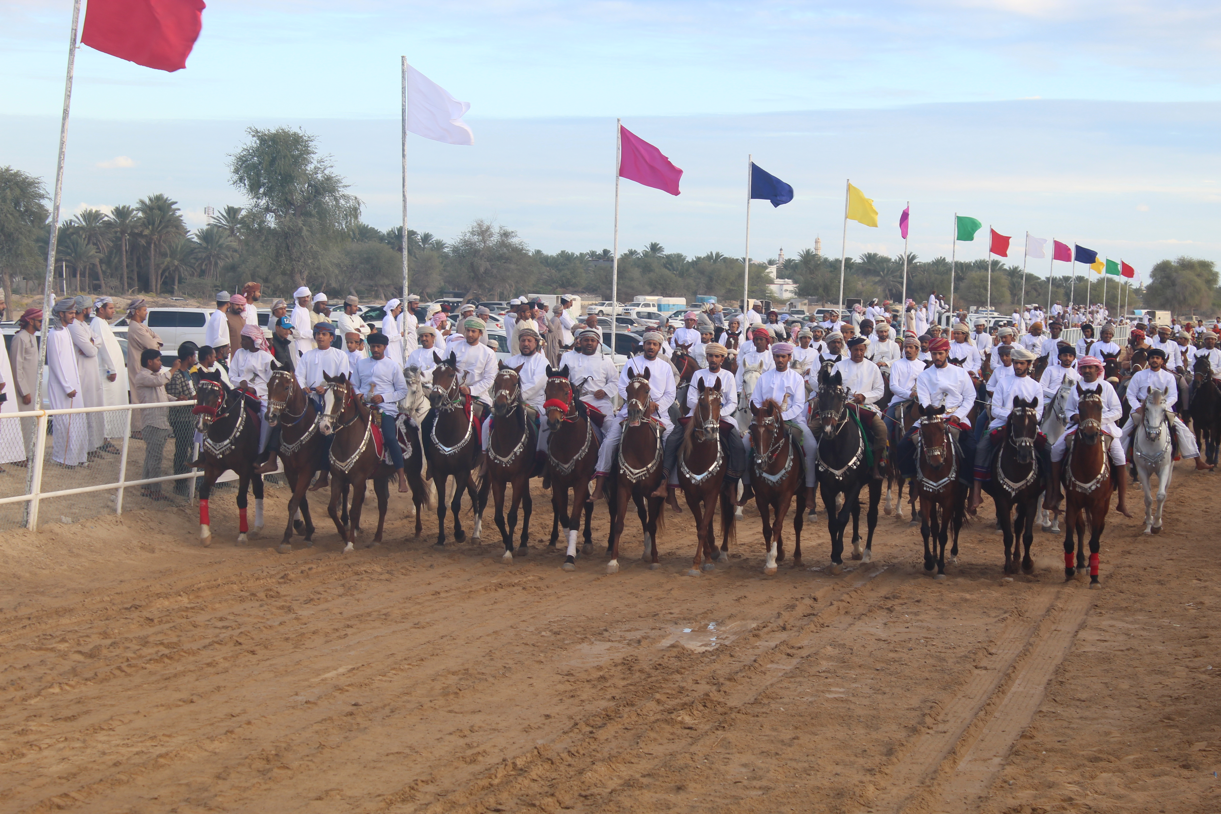 مهرجان عرضة الخيل بولاية جعلان بوعلي
