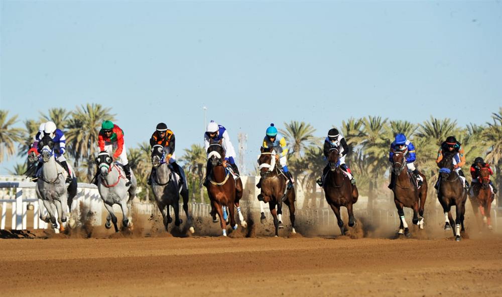 نادي سباق الخيل السلطاني ينظم كأس العيد الوطني الخمسين غدًا بمضمار الرحبة