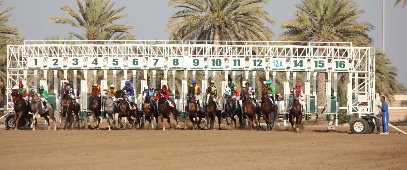 الخيالة السلطانية تفوز ببرونزيتين في كأس العالم لجمال الخيل بفرنسا