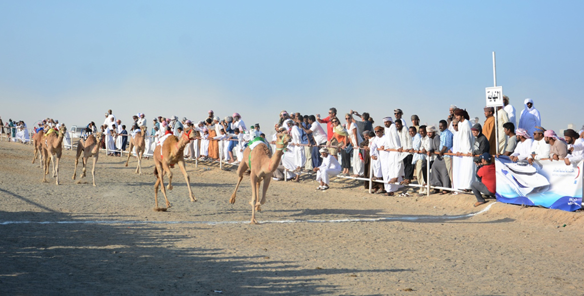 مهرجان العيد الوطني لسباق الهجن بولاية مصيرة