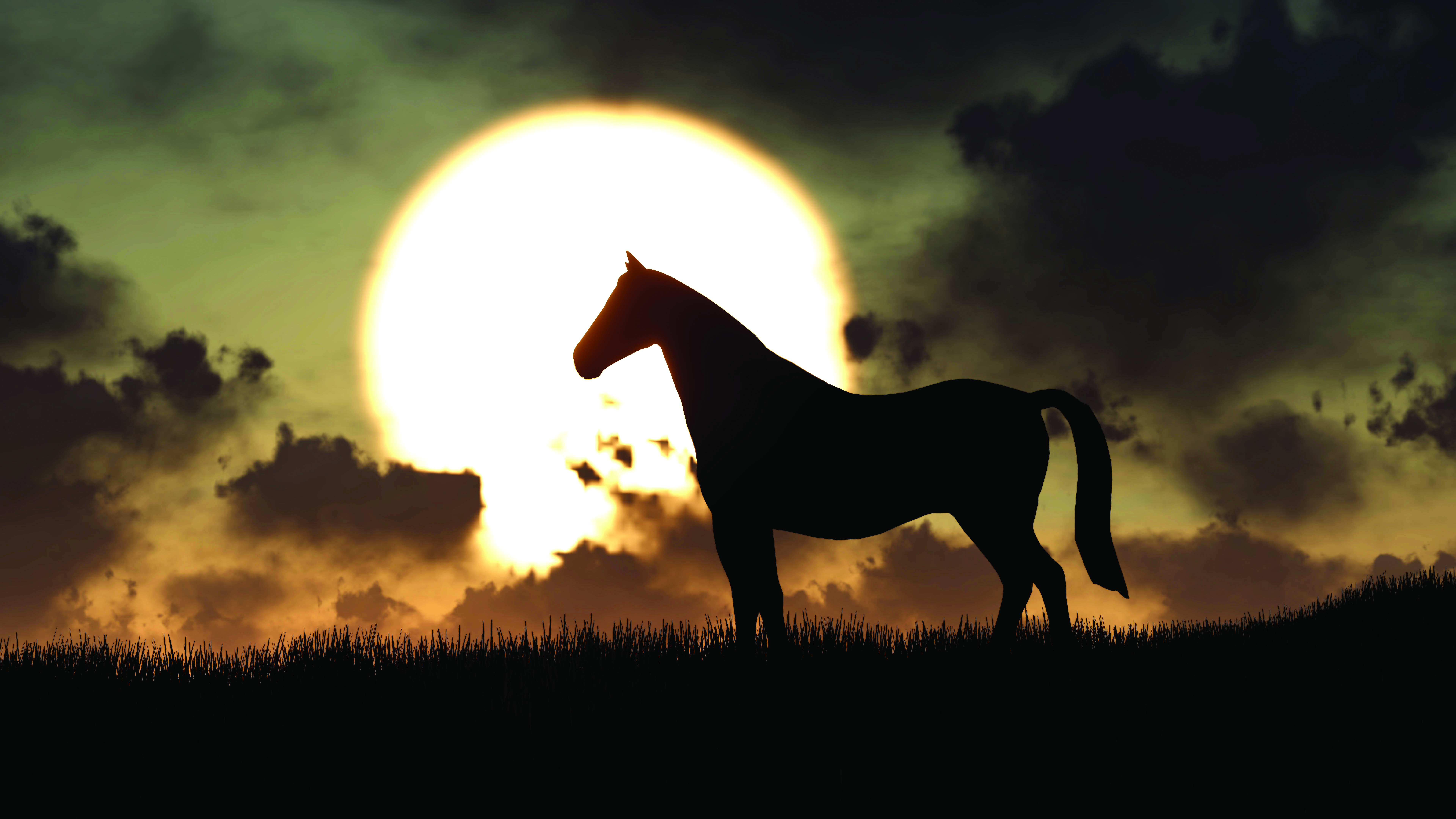 تأثير الضوء على الخيل