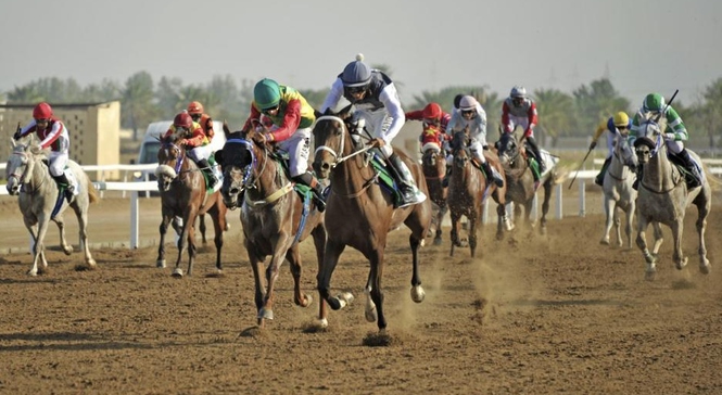 لجمعة.. مضمار الرحبة يشهد السباق الـ16 للخيل