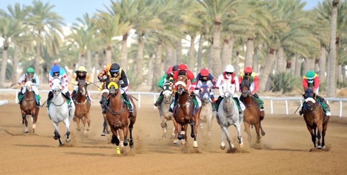 بعد غدٍ.. ختام سباقات نادي الخيل السُّلطاني بولاية بركاء