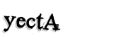 CAPTCHA security code